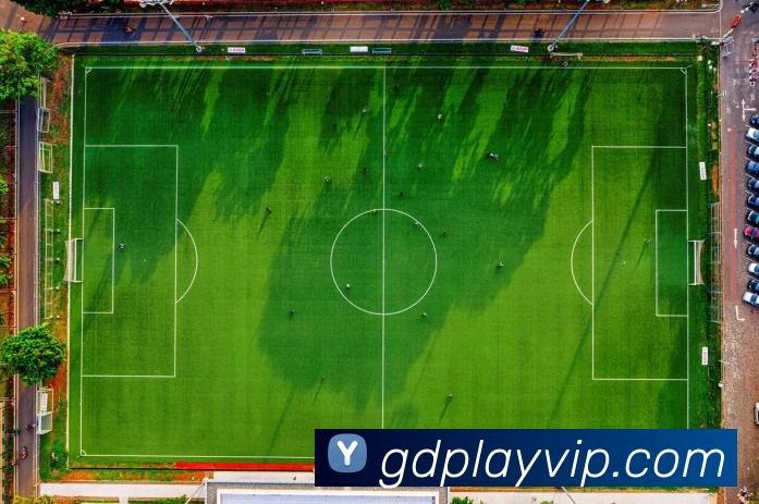 高德娱乐官网平台生态图