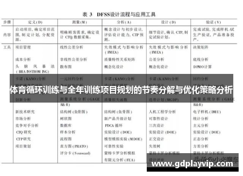 体育循环训练与全年训练项目规划的节奏分解与优化策略分析